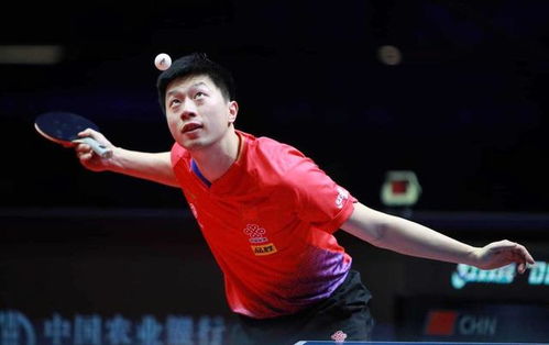 马龙樊振东与青少年斗智斗勇的风采