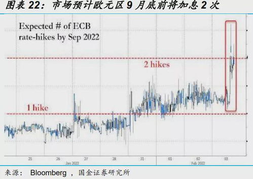 俄乌冲突下的黑天鹅现象，再审视未来走势