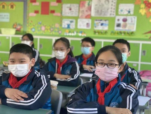 小学生开学采访的魅力