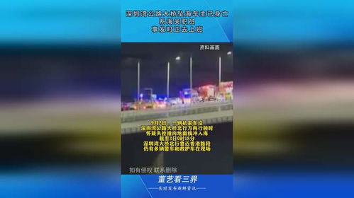 深圳湾公路大桥坠海车主已身亡