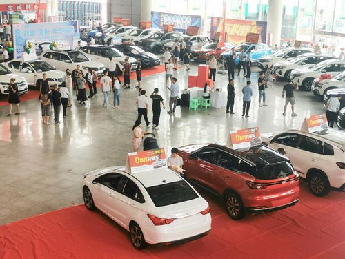 河南车主在车展现场定下800万豪车，彰显车主的豪情壮志和成功喜悦