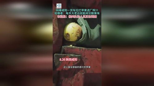 男子举报烂苹果进厂榨汁遭恐吓