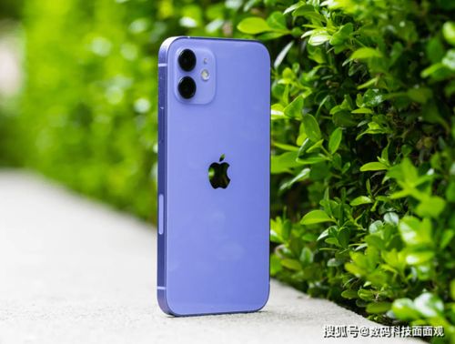苹果CEO库克首次公开称赞iPhone 16: 这是最先进的iPhone