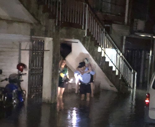 凌晨两点老人背着土鸡步行去看哥哥