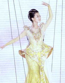 金鹰奖评选结果，刘亦菲无法参加的五大原因
