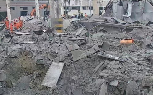 大连普兰店区发生3.7级地震，相关部门紧急启动应急响应机制