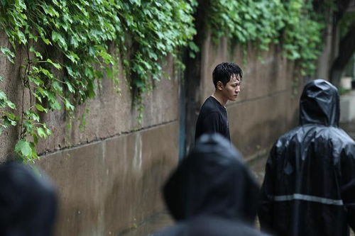 凡人歌，全员瑕疵皮