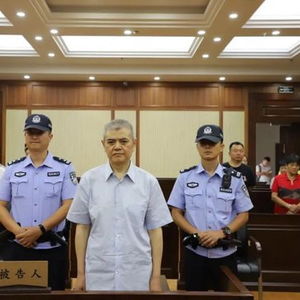 正厅级内鬼陈罡非法持枪获刑7年