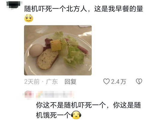 东北男子好奇南方人一顿吃几个饺子？