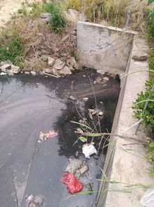 天津某地污水直排海河的谣言是什么？