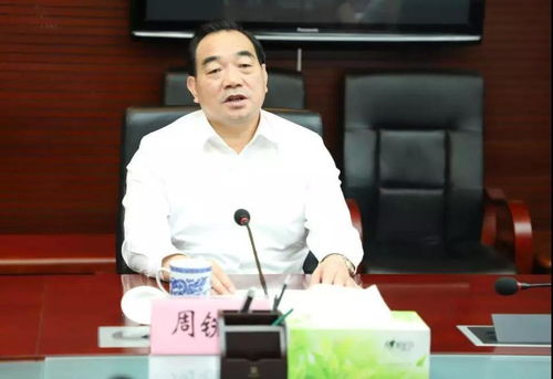 江苏徐州市委原书记周铁根被查——从严治党新篇章的开启