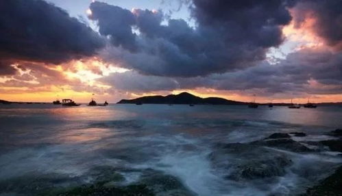 月圆人团圆，张朝阳中秋节横渡威海海湾的动人瞬间