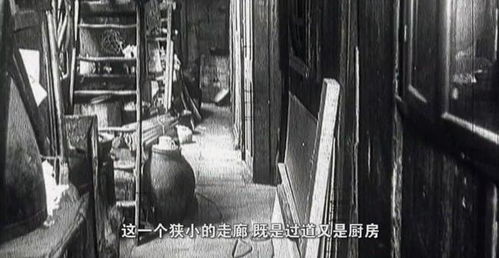 上海的风雨，一名记者的艰难与坚韧