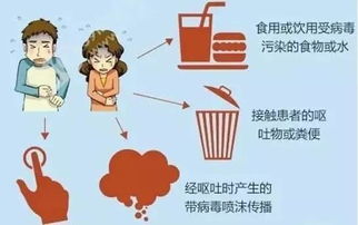 海口一幼儿园多名师生呕吐发烧的事件