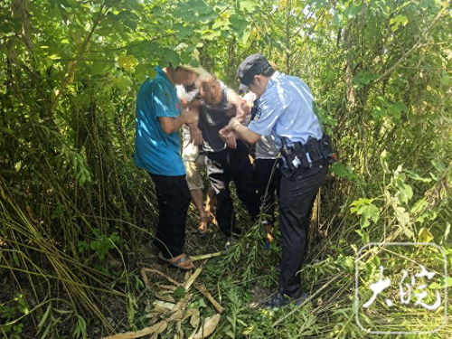 一株生命的尊严，台8旬老人捡蜗牛包粽子，竟致3死