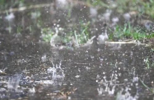 今年北方雨水为何这么多