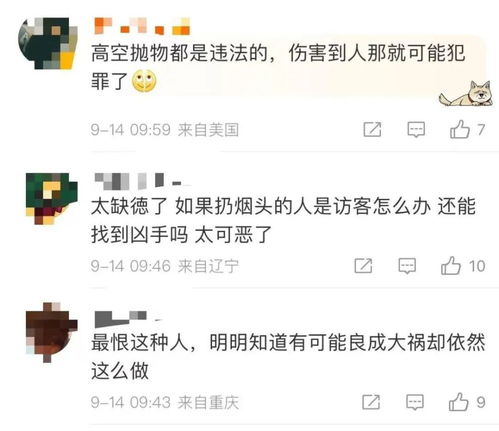 高空抛物全楼验DNA，男子投案自首的震撼新闻