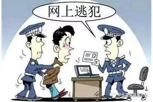 男子失恋冲动无证醉驾后报警，一种逃避现实的方式吗？