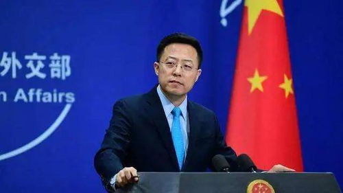 陈行甲参加联合国人权理事会大会
