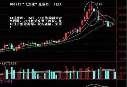 投资股市，我们不能只看股价的上涨速度