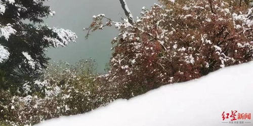国庆第一天北京山西下雪了