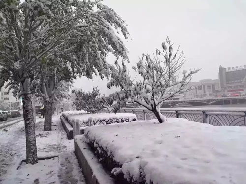 张家口下的雪