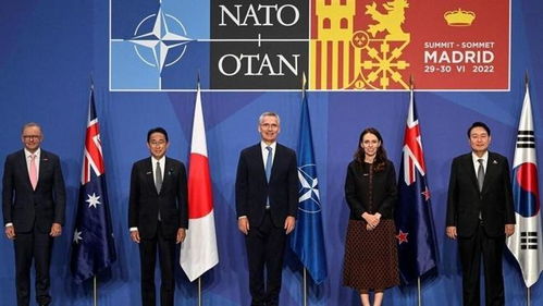 日新首相提亚洲北约遭印泼冷水，分歧与未来