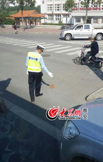 女子被野狗追咬交警路过及时解救