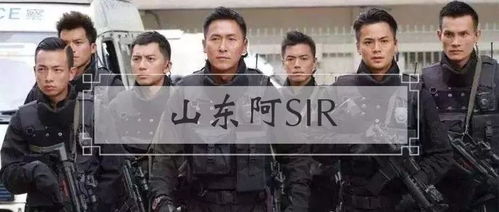 山东警方悬赏十万元追捕巨匪，凶猛力度引关注