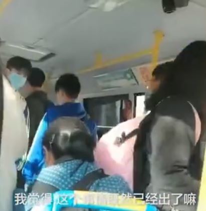 宠物狗走丢误上公交司机驱赶引热议