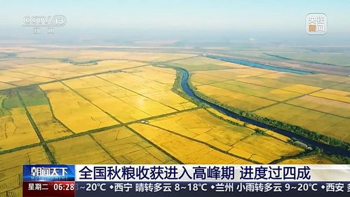 全国秋粮收获进入高峰期