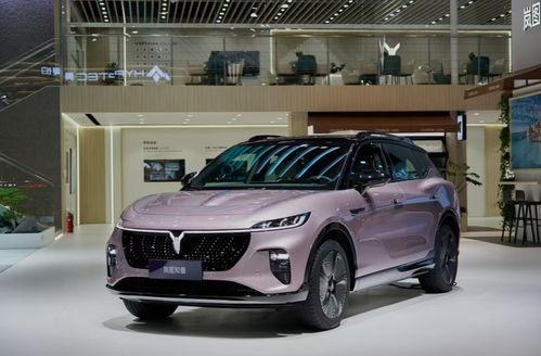岚图知音是一款基于全新电动汽车平台打造的智能驾驶汽车。日前，岚图知音正式在武汉工厂下线，并启动预售。新车的售价为19.69万元起。