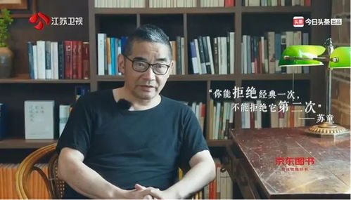 阅读与苏童
