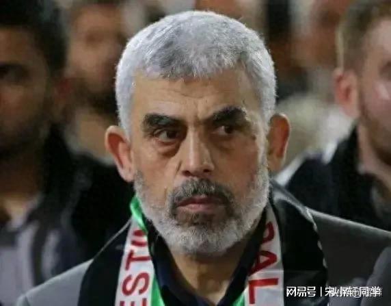 美国承认为打死辛瓦尔提供情报支持的争议和影响
