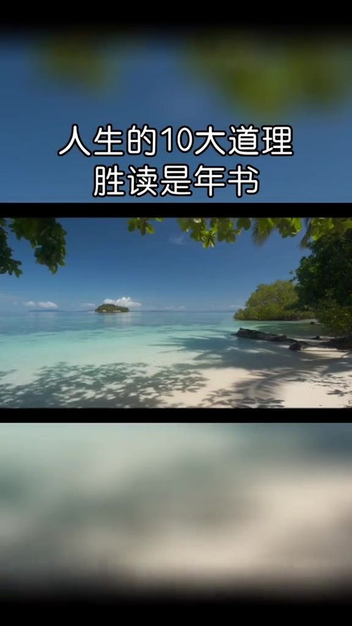 金色大道——人生感悟