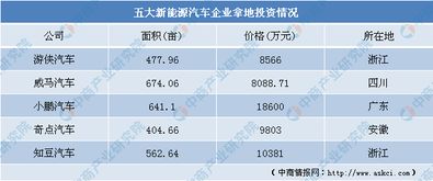 现在投资汽车的金额