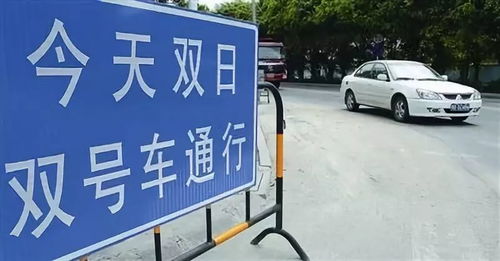 汽车安全与高速行驶的界限