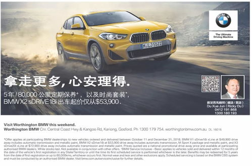 十一黄金周期间汽车销售排行榜解析