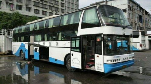 乐清至洞头的汽车票价