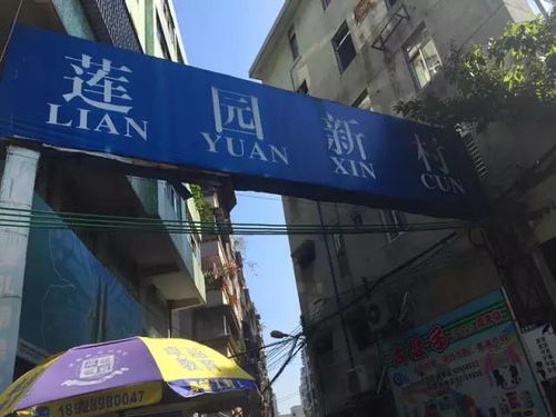 增城汽车站电话查询指南