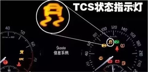 汽车尾箱灯亮度，最佳亮度设置与安全考量