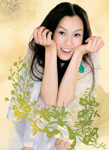 范玮琪，以音乐传递深情与力量的台湾女艺人