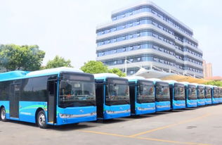 东莞市电动公交车的购买与运营成本分析
