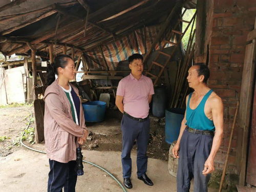 衡水至龙华汽车号码查询 衡水至龙华汽车号码查询