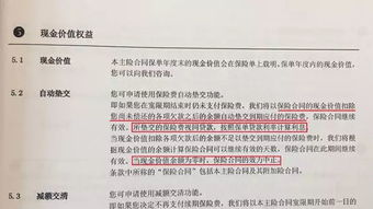 汽车保险篇全面解读你一年需要交纳的保费 汽车保险篇全面解读你一年需要交纳的保费