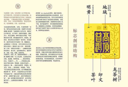 浙江台州汽车杯模具的价格分析与选择指南