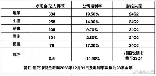 福田汽车的净资产概况及其对公司财务状况的影响