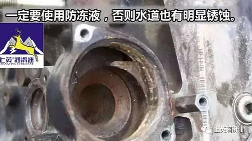 更换汽车冷却液的费用分析及建议