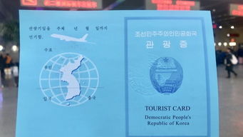 导游擅自委托旅客带玩偶入境，结果却被海关查获