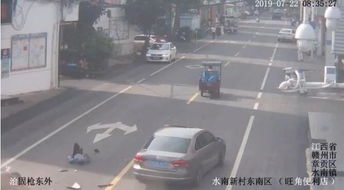 全省汽车碰撞致人死亡案件的司法处理情况